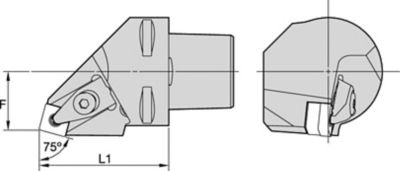 DSRN 75°