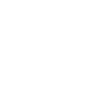 All-Star Program Icon