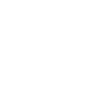 New Products Icon