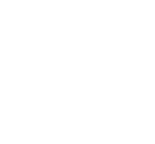 NOVO Tool Advisor Icon
